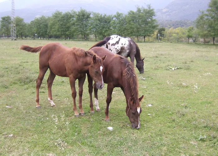Agriturismo Al Ranch