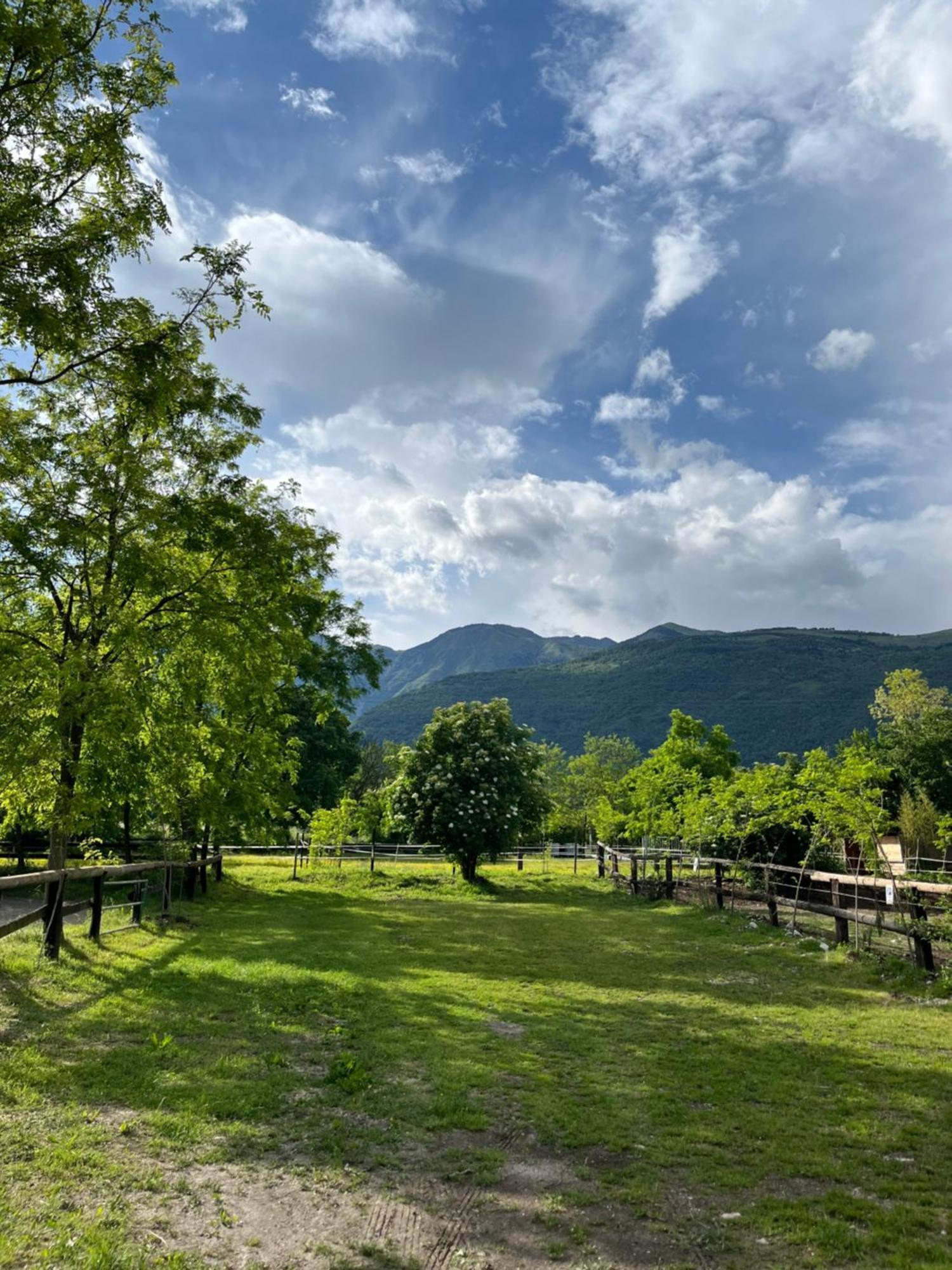 Bauernhof Al Ranch