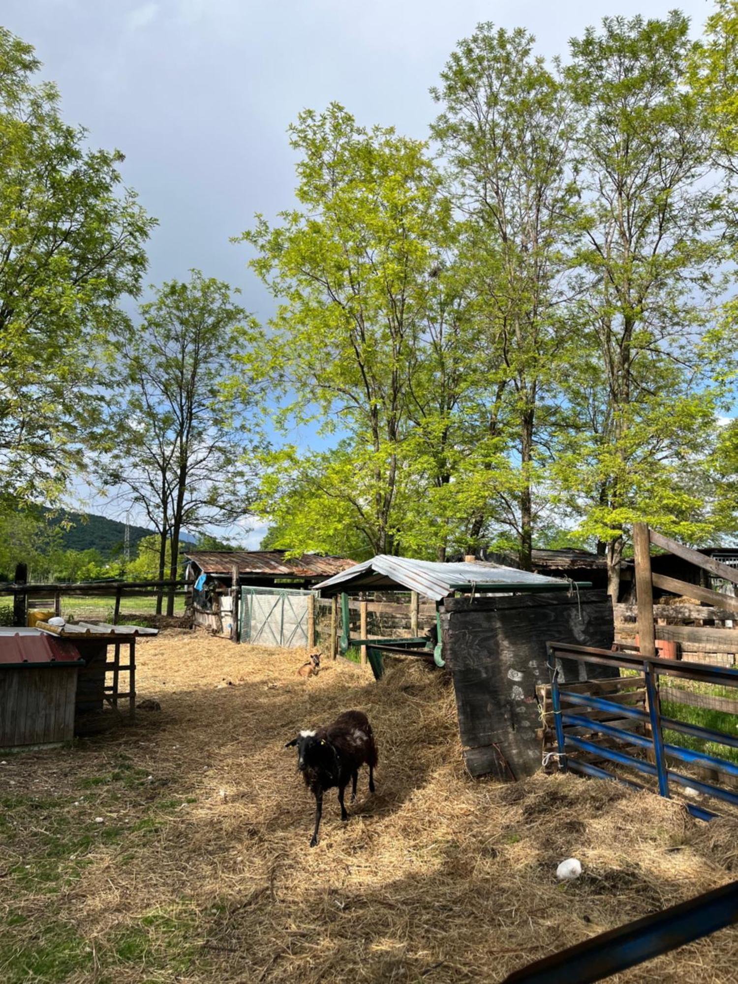 Al Ranch Bauernhof *
