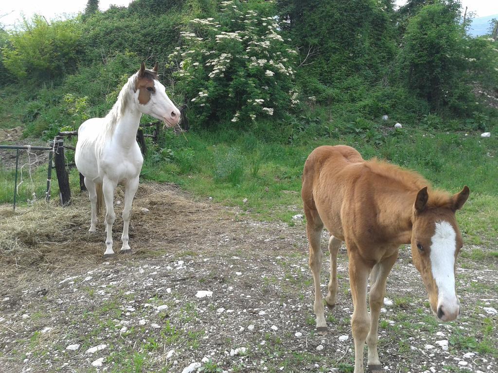 Al Ranch Bauernhof