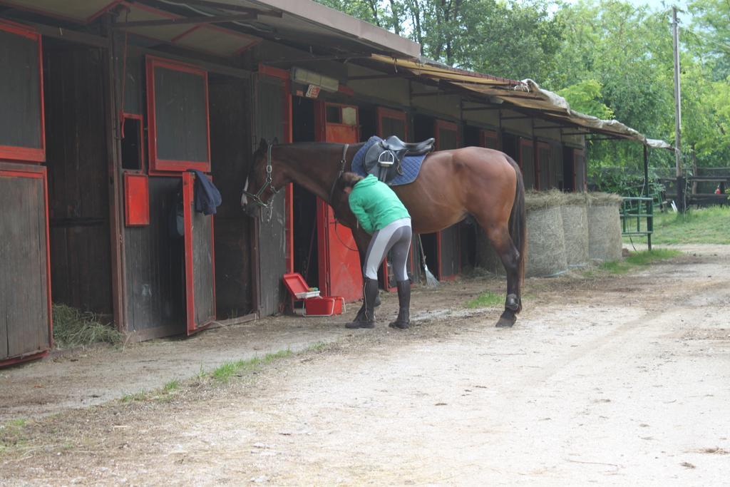Bauernhof Al Ranch Castello dʼAviano